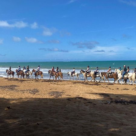 Oceanfront Condo In Luquillo Exterior photo